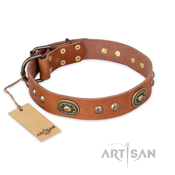 Easy adjustable genuine leather dog collar for everyday use