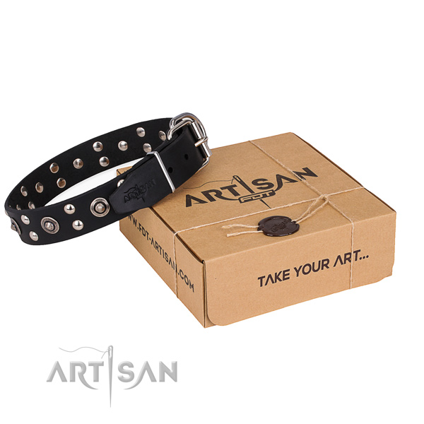 Comfortable wearing dog collar with Fashionable strong adornments