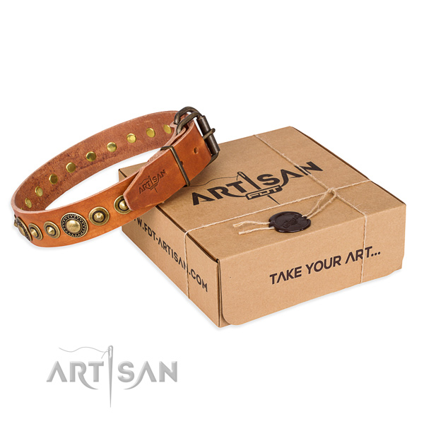 Top notch genuine leather dog collar handmade for everyday walking