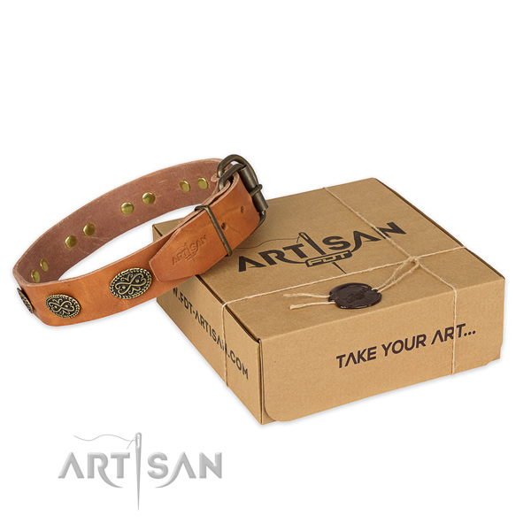 Durable traditional buckle on leather collar for your lovely canine