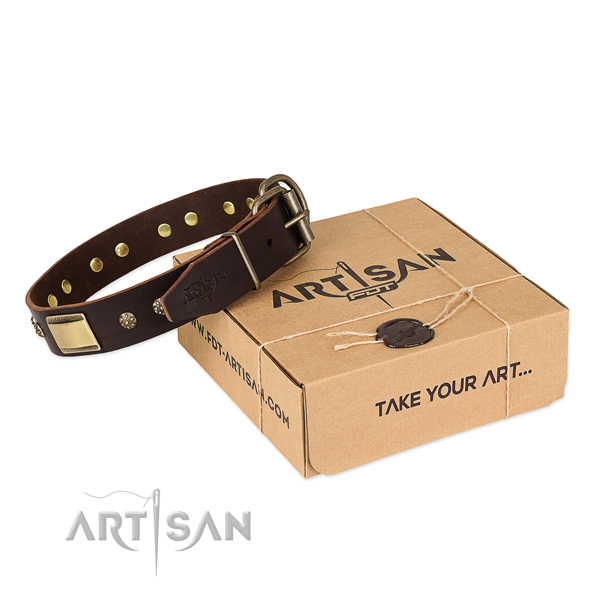 Comfortable full grain leather collar for your attractive canine