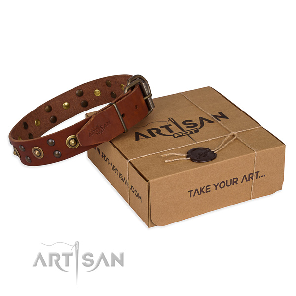 Rust resistant traditional buckle on leather collar for your stylish four-legged friend