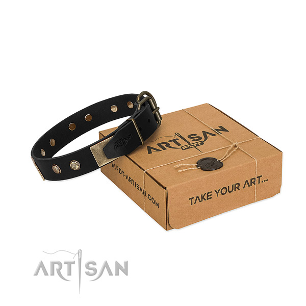 Durable adornments on dog collar for everyday use