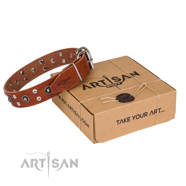 Corrosion resistant fittings on genuine leather collar for your lovely four-legged friend