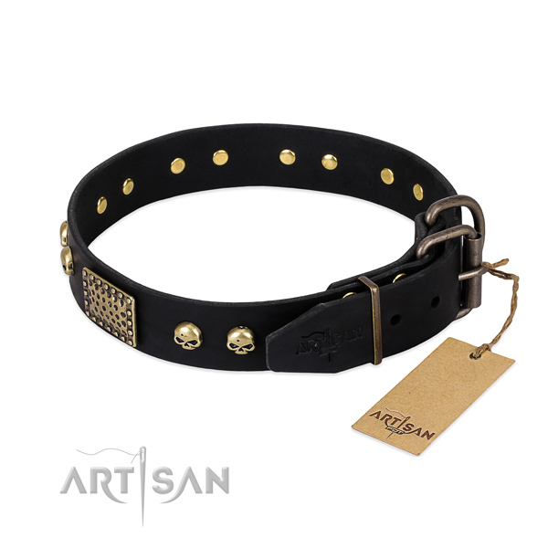 Durable fittings on everyday walking dog collar