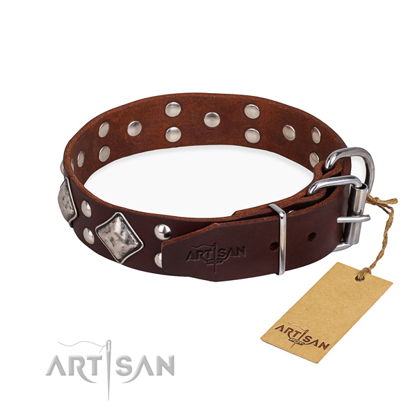 Leather dog collar with impressive strong embellishments