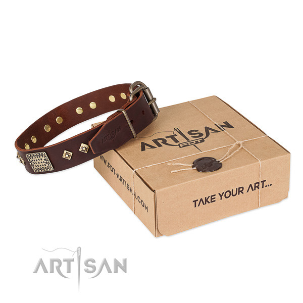 Exceptional leather collar for your beautiful four-legged friend