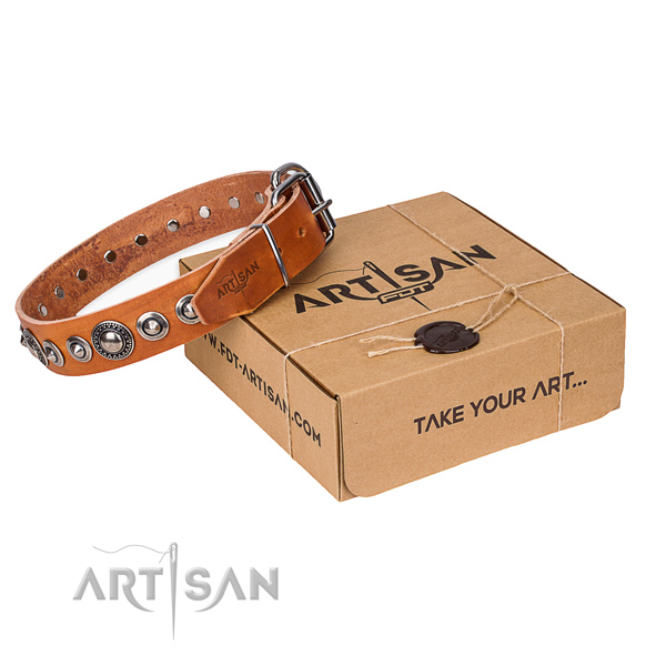 Full grain natural leather dog collar made of gentle to touch material with corrosion proof traditional buckle
