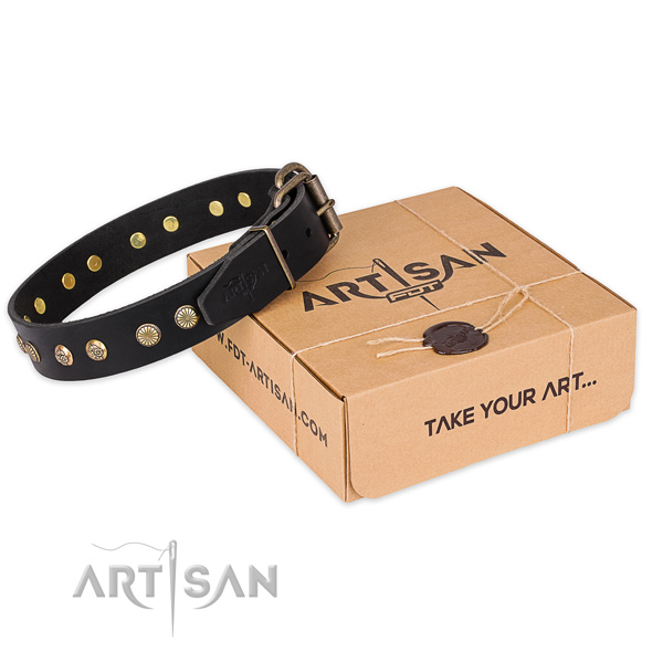Rust-proof hardware on full grain leather collar for your handsome four-legged friend