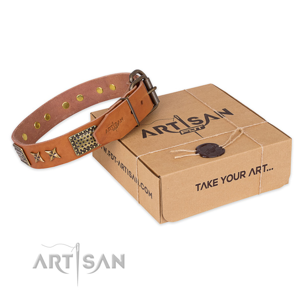Durable traditional buckle on natural genuine leather collar for your handsome doggie