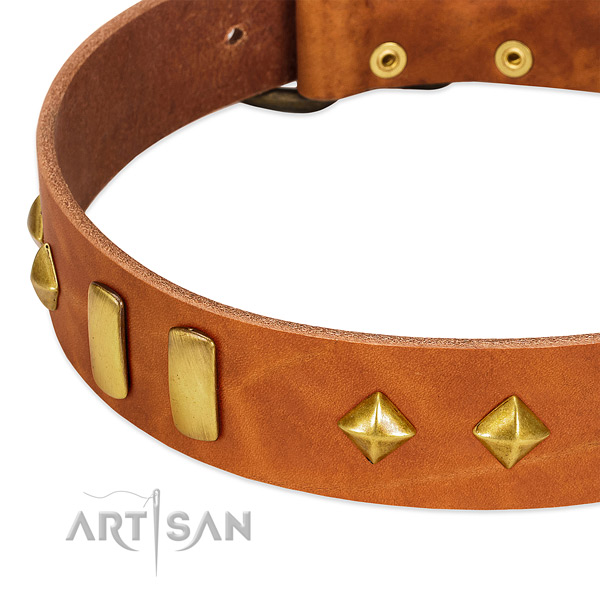 Everyday use full grain natural leather dog collar with designer adornments