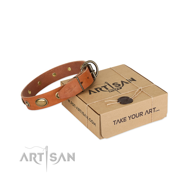 Corrosion proof studs on natural leather dog collar for your doggie
