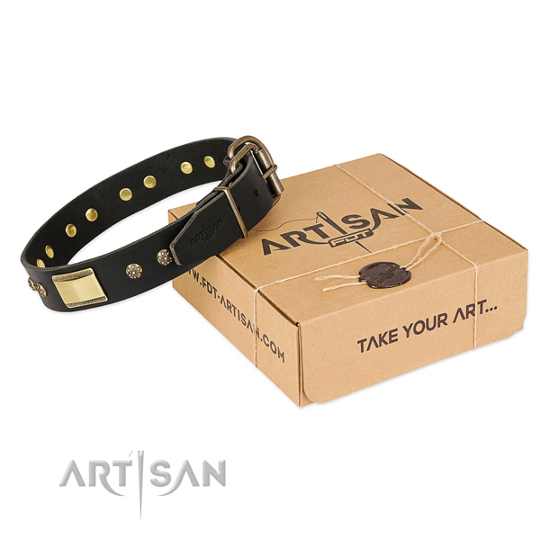 Exceptional full grain leather collar for your lovely canine