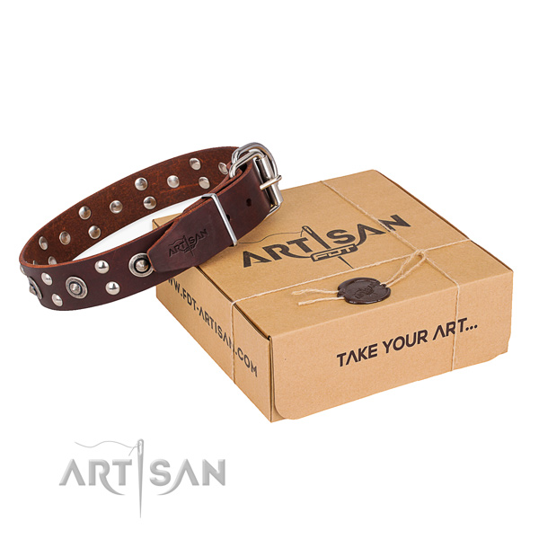 Walking dog collar with Fashionable durable studs