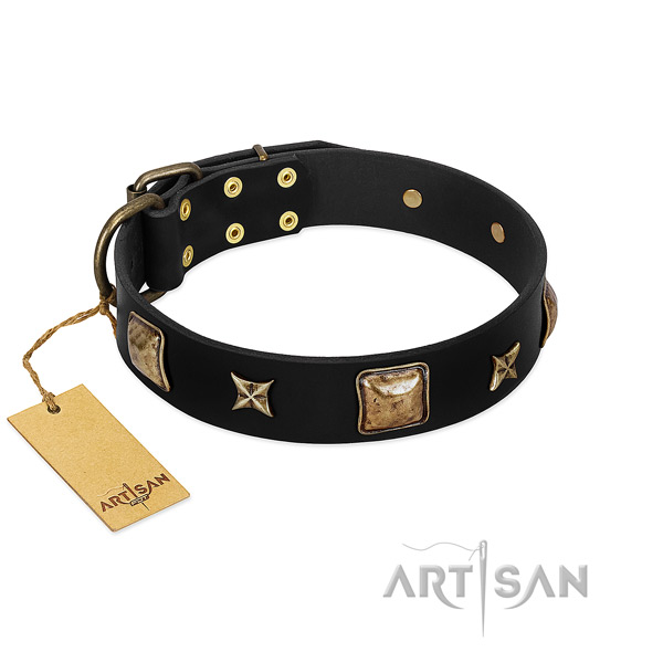 Full grain genuine leather dog collar of flexible material with amazing adornments