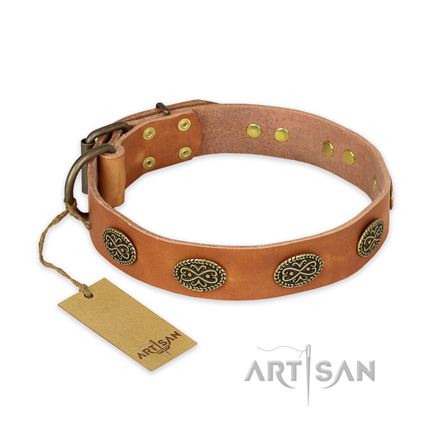 Extraordinary full grain genuine leather dog collar with corrosion resistant buckle