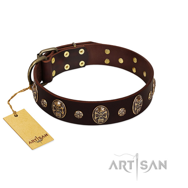 Easy wearing leather collar for your four-legged friend
