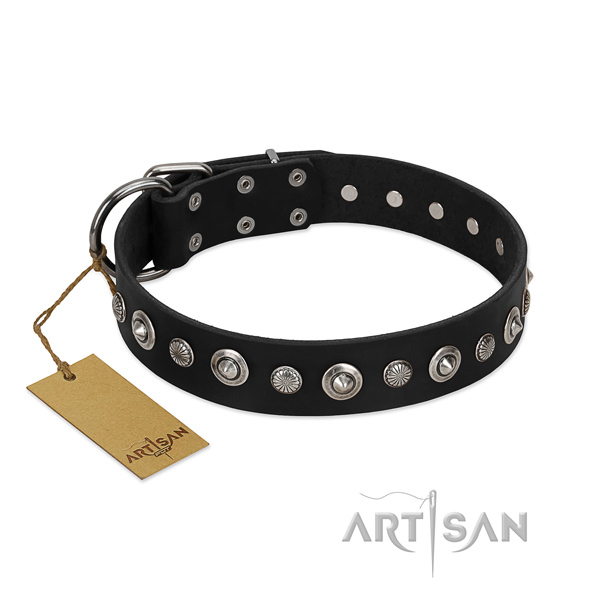 Top notch genuine leather dog collar with exquisite studs