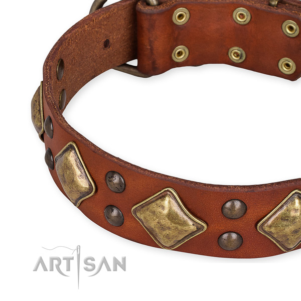 Full grain leather collar with reliable fittings for your stylish doggie
