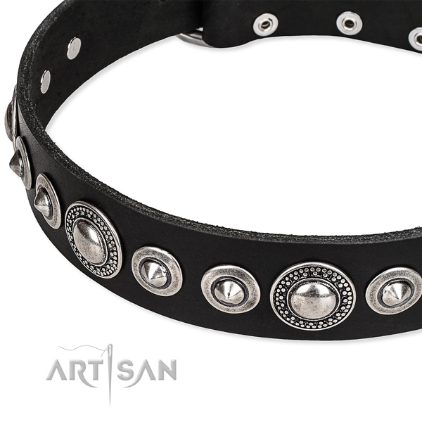 Comfortable wearing adorned dog collar of strong full grain natural leather