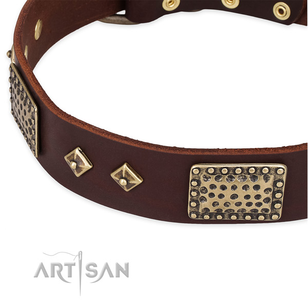 Rust resistant traditional buckle on full grain genuine leather dog collar for your pet
