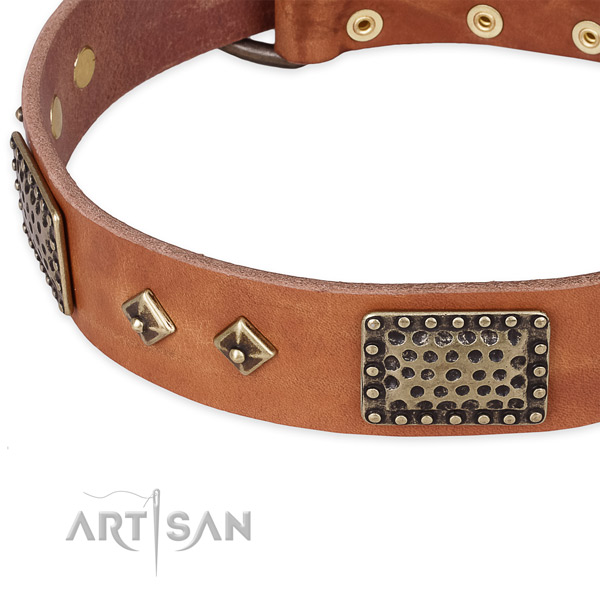 Strong traditional buckle on full grain genuine leather dog collar for your four-legged friend