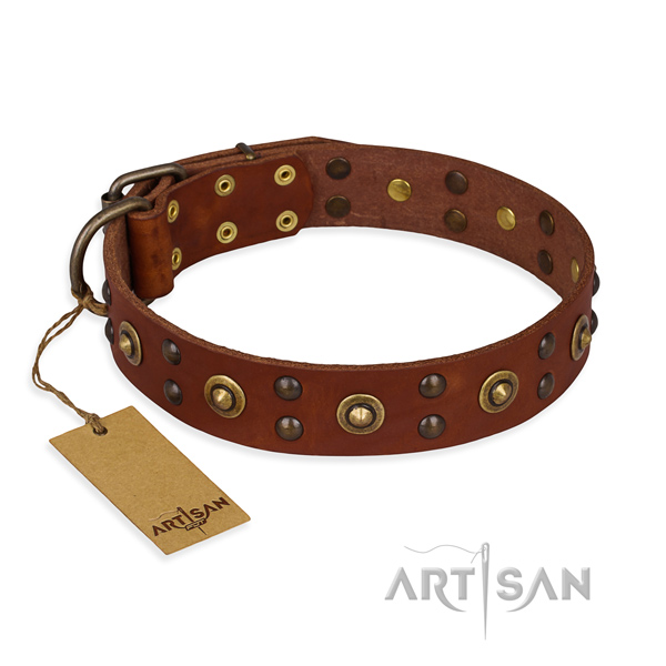 Perfect fit full grain leather dog collar with corrosion resistant fittings