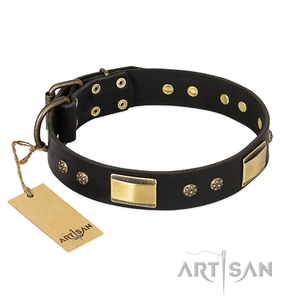 Remarkable full grain natural leather collar for your doggie