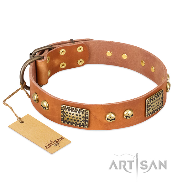 Easy wearing full grain natural leather dog collar for stylish walking your four-legged friend