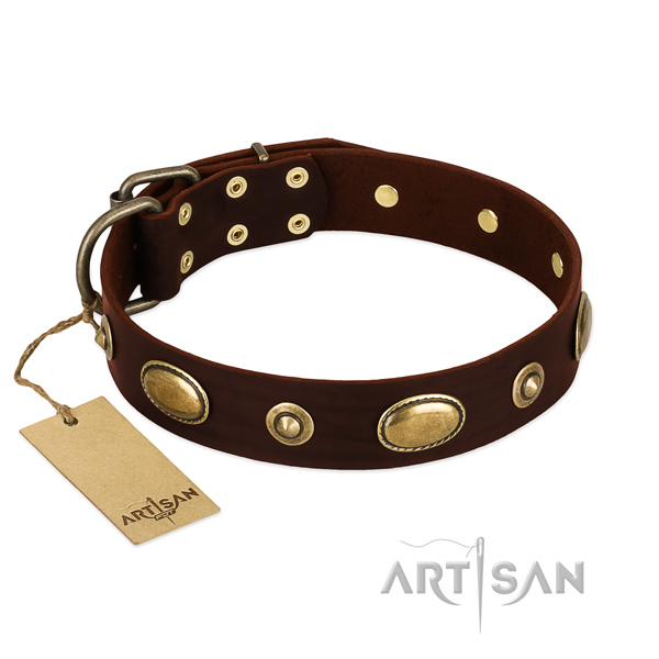 Incredible full grain natural leather collar for your canine