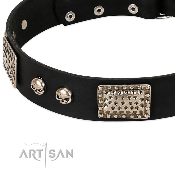 Corrosion proof adornments on leather dog collar for your doggie