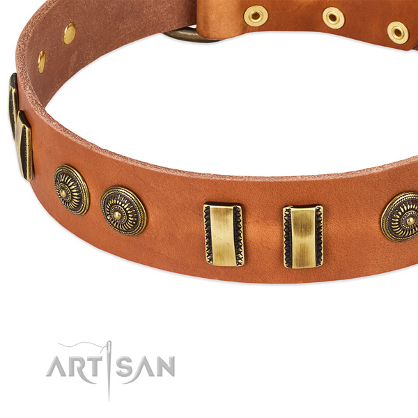 Strong adornments on full grain genuine leather dog collar for your pet