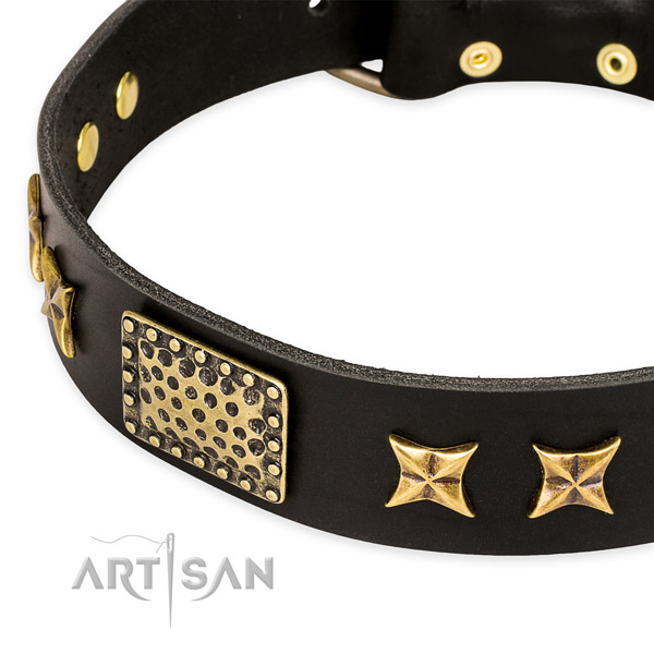 Natural genuine leather collar with rust resistant hardware for your attractive canine