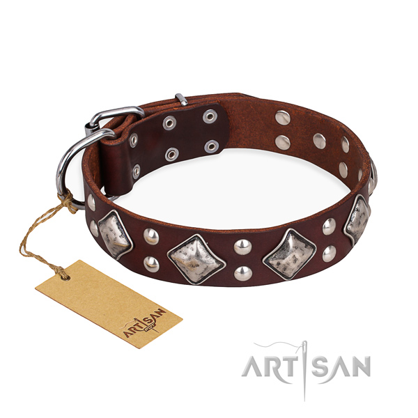 Daily walking stylish dog collar with durable D-ring