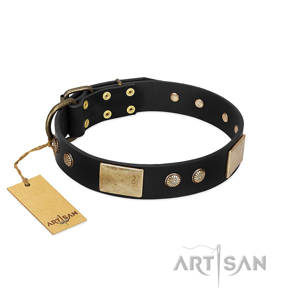 Easy to adjust full grain leather dog collar for walking your pet