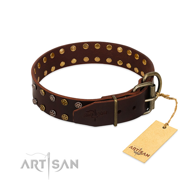 Everyday walking full grain natural leather dog collar with incredible embellishments