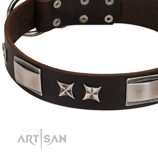Amazing collar of natural leather for your attractive four-legged friend
