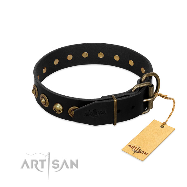 Genuine leather collar with significant adornments for your four-legged friend
