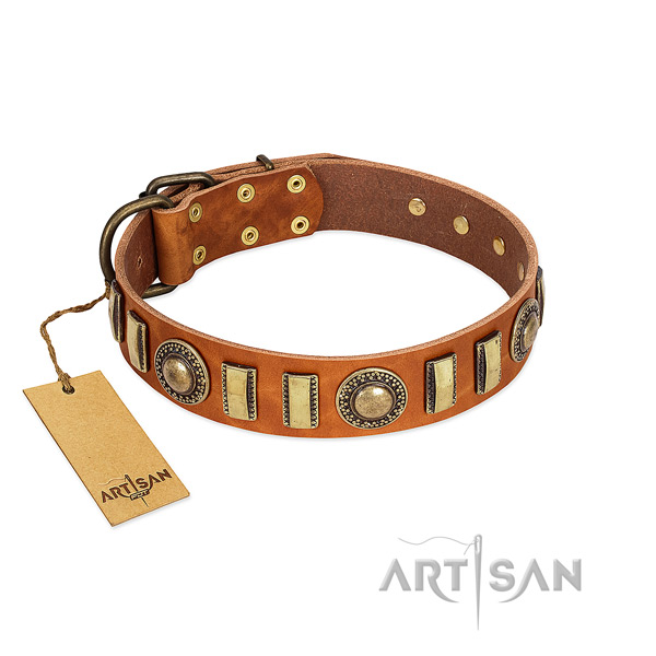 Stylish genuine leather dog collar with rust resistant hardware