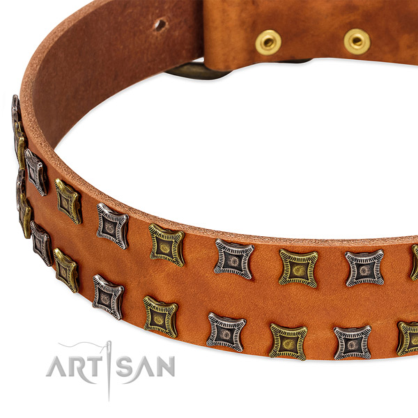 Top rate full grain genuine leather dog collar for your impressive canine