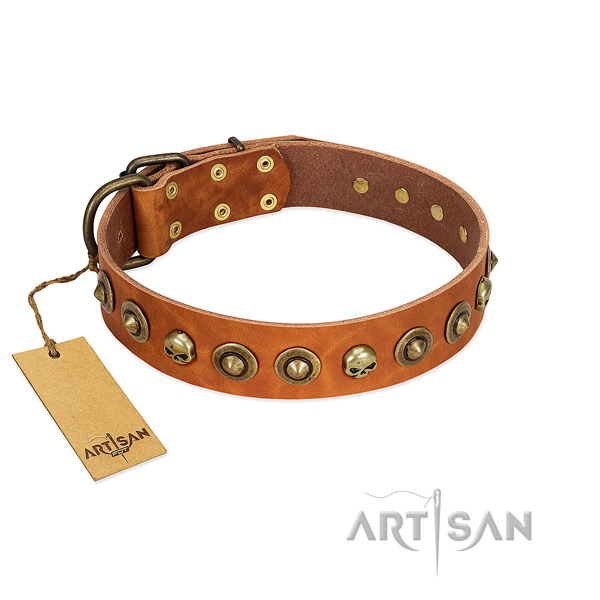 Full grain genuine leather collar with designer studs for your dog