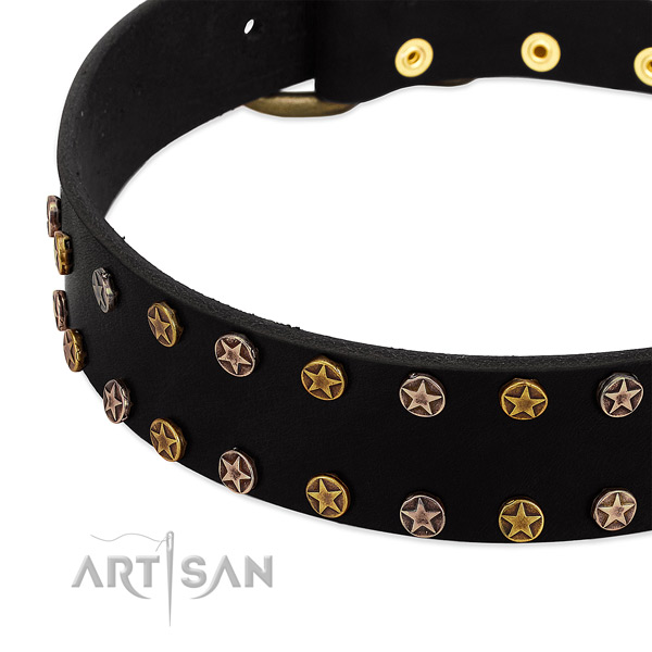 Inimitable adornments on natural leather collar for your doggie