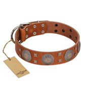 "Sun Rise Noon" FDT Artisan Tan Leather Pitbull Collar with Unique Design "Sun Rise Noon" FDT Artisan Tan Leather Pitbull Collar with Unique Design