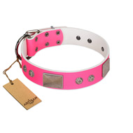 "Pink Blush" Premium Quality FDT Artisan Pink Designer Pitbull Collar with Plates and Studs "Pink Blush" Premium Quality FDT Artisan Pink Designer Pitbull Collar with Plates and Studs