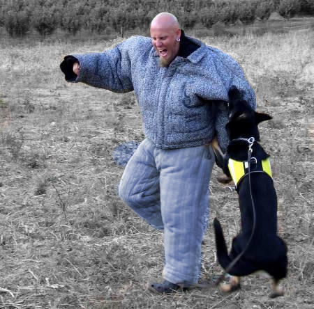 http://www.pitbull-training-gear.com/images/bite-suit-action-main-schutzhund-suite.jpg