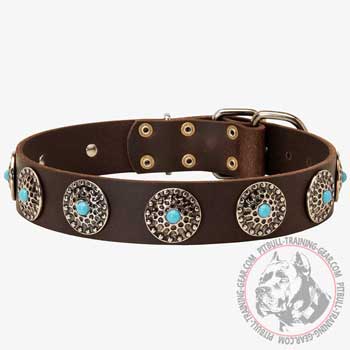 Handcrafted Walking Leather Dog Collar for American Pit Bull Terrier