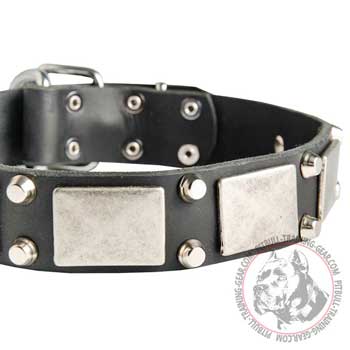 Leather American Pit Bull Terrier collar for dog walking