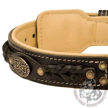 Stylish Braided Decoration on Designer Leather Dog Collar