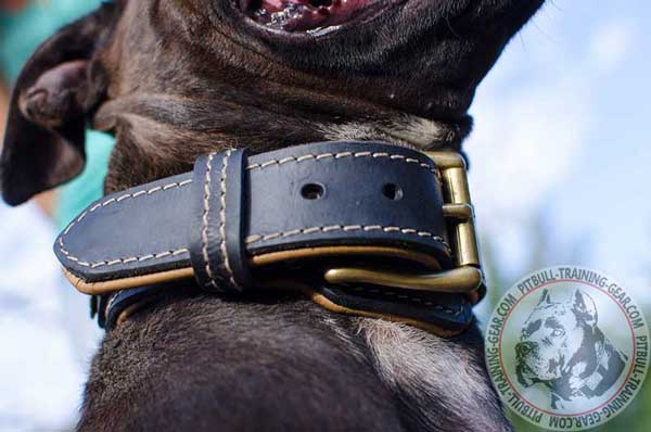 Goldish Brass Buckle for Easy Adjustment of the Dog Collar
