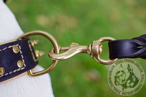 D-ring of leather dog collar for Pit Bull